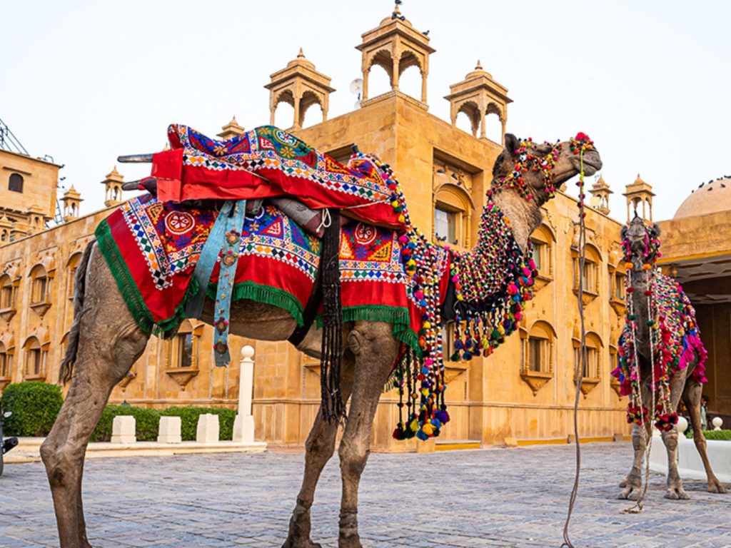 Rajasthan Cultural Tour